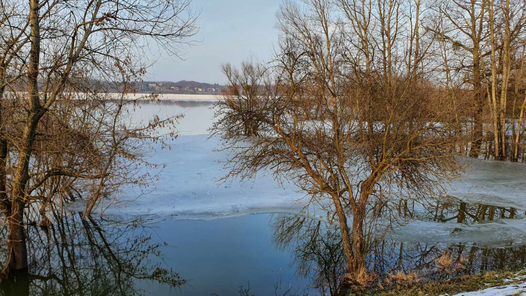 Wisła powyżej Płocka. Fot. Wody Polskie