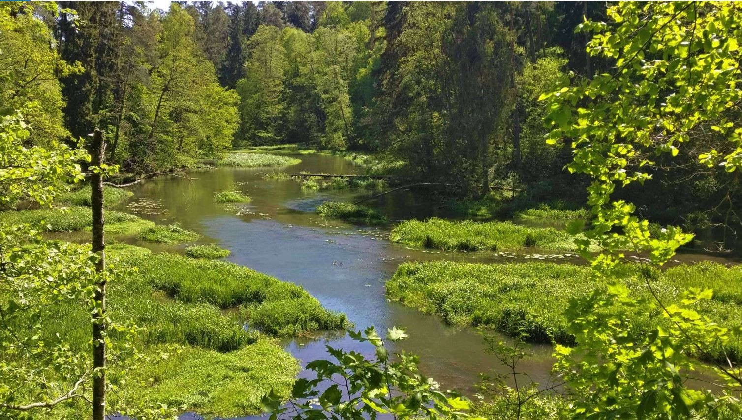 Wody Polskie. Rzeka Łyna. Fot. Wody Polskie