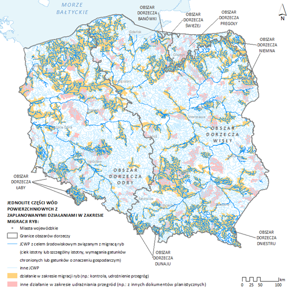 Mapa jcwp RW z zaplanowanymi działaniami w zakresie migracji ryb