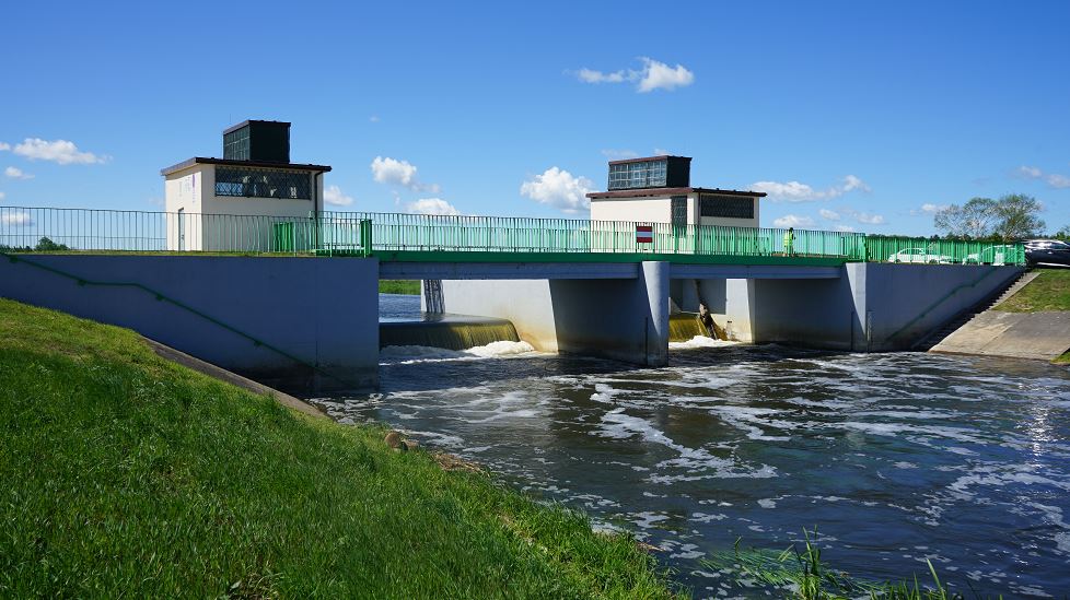 Jaz Złotoria. Podlasie