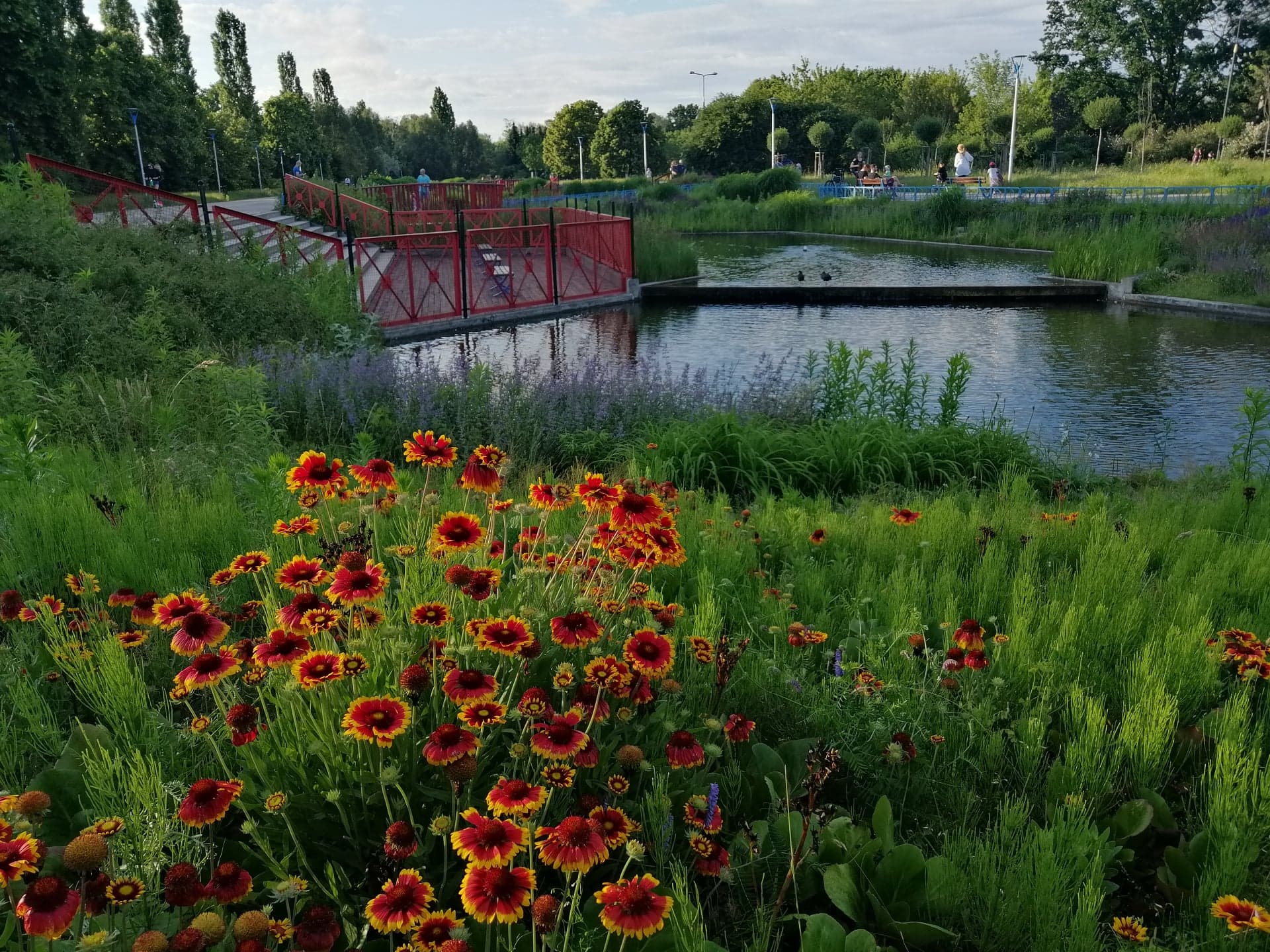 Park Szymaskiego1