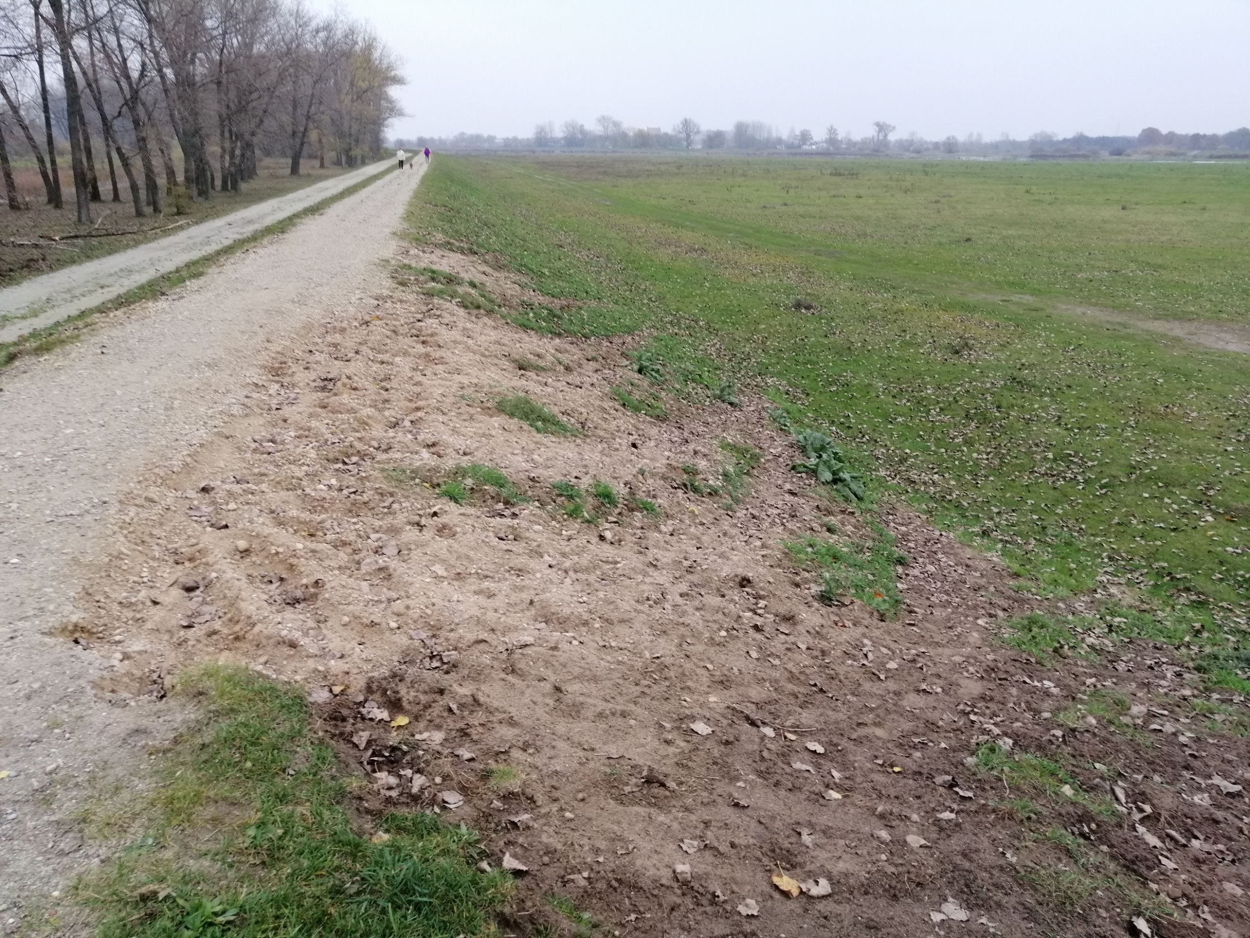 niszczenie skarpy wau przeciwpowodziowego polder Patrzykw Warcica przez quady