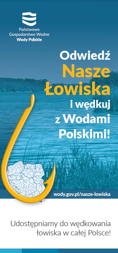 nł dll